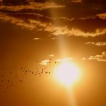 181216_cloud_001