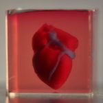 190416_Hearts_001