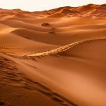 190903_Desert_00123