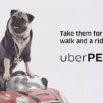 Uber PetsCredit: Uber