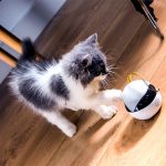 191202_Ebo_001