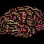 200607_brain_900