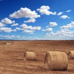 200720_agriculture_001