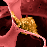 201113_viable-vaccine_001