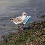 201129_mask_90032121