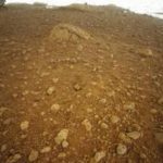 210408_Ingenuity_001