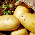 210525_potatoes_001