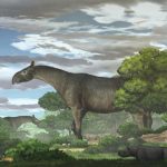210628_Paraceratherium-linxiaense_001