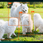 210805_Convolutional-Neural-Networks_001