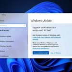 211227_Windows-11-issue_000001