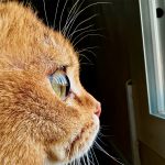 220126_Shot-on-iPhone-Challenge_00001