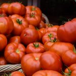 220527_-tomato_0000001