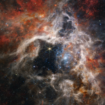 220908_Cosmic-Tarantula_00001