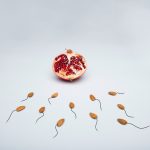 221116_Sperm_000001