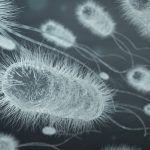 230127_antibiotics_000001