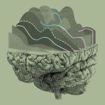 230329_Neuralink_000001