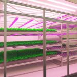 230601_nasa_Space-Food-Challenge_0002
