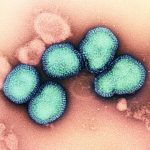 230605_influenza_000001