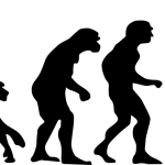 Human_evolution