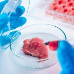 230715_cultured-meat_00001