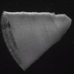 230729_3D-printed heart muscle_0001