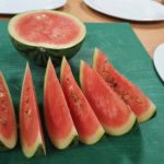 230801_watermelons_0001