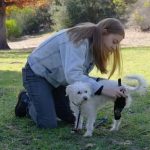 230811_Three-Legged-Dog-a-Robotic-Exoskeleton_00001