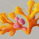 230920_AlphaMissense_0001