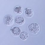 231105_grown-in-space_0001