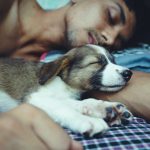 231125_snooze_000001