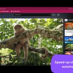 231127_Ad-Speedup_00001