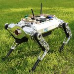 231217_HOUND_00002