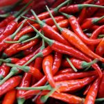 240619_chilli_000001