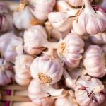 240627_Garlic_000001