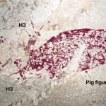 240704_Cave-painting-in-Indonesia_0001
