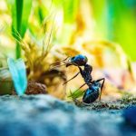 241015_ant_00007